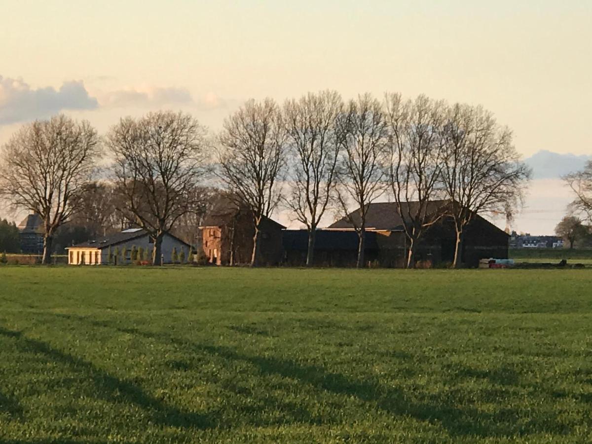 Koenigsgut Emmericher Eyland Kalkar Buitenkant foto