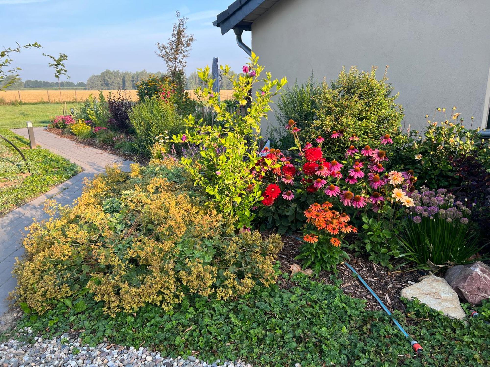 Koenigsgut Emmericher Eyland Kalkar Buitenkant foto